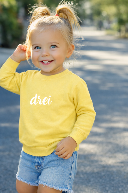 Personalisierte Kinder Sweatshirt mit Alter, modernes Design, bequemes Jersey-Material, nachhaltiger Geburtstags-Pullover für Jungen und Mädchen