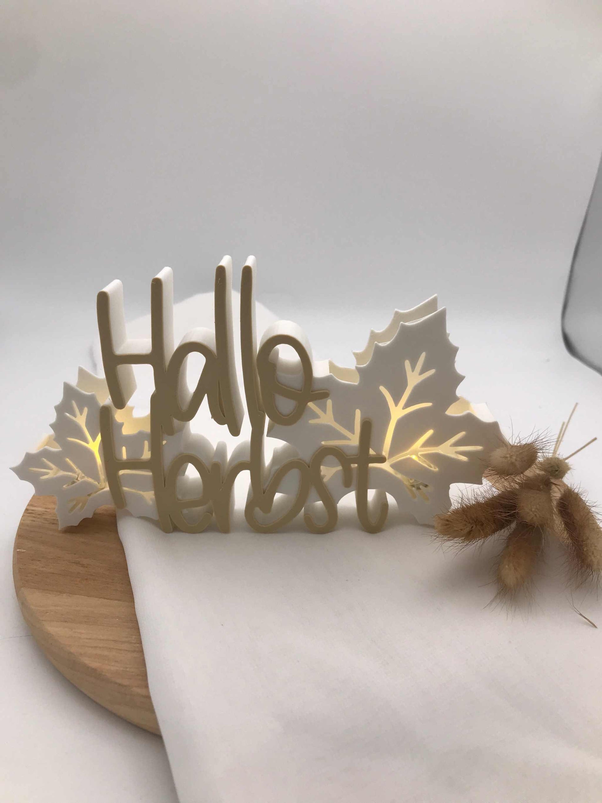 Schriftzug "Hallo Herbst" aus 3D-Druck mit Blättern und Ballonlichtbeleuchtung, herbstliche Dekoration