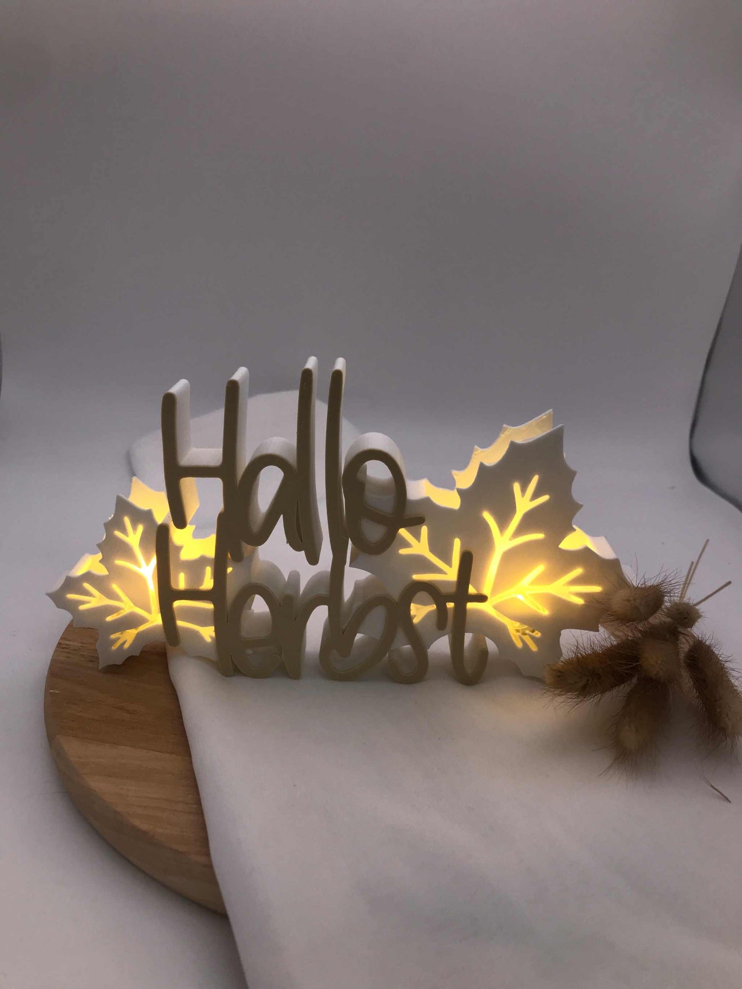 Schriftzug "Hallo Herbst" aus 3D-Druck mit Blättern und Ballonlichtbeleuchtung, herbstliche Dekoration